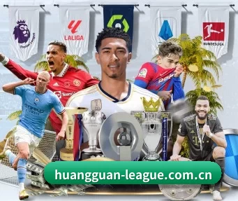 皇冠体育实时比分 APP
